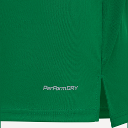 Футболка игровая JOGEL DIVISION PerFormDRY Union Jersey, зеленый