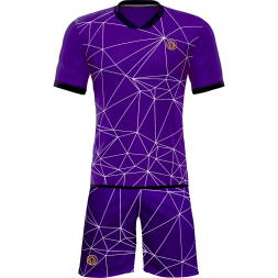 Футбольная форма ЭКИПО WEB Фиолетовый цвет