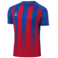 Футболка игровая JOGEL CAMP Striped Jersey, красный/синий, детский