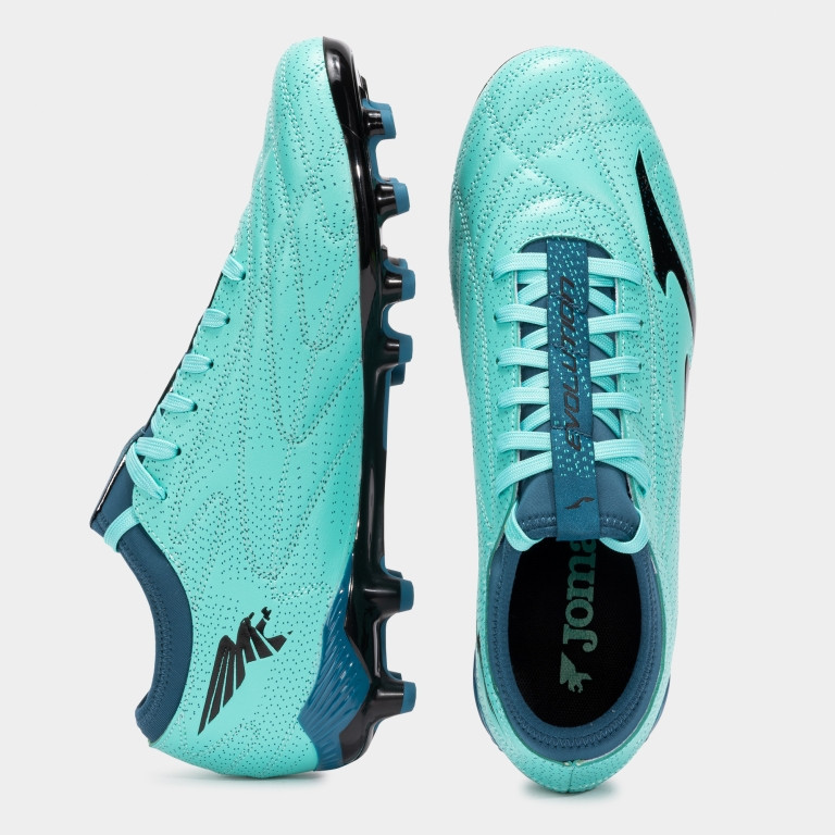 Ассортимент | EVOLUTION 2517   FIRM GROUND