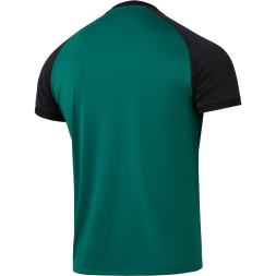 Футболка игровая JOGEL CAMP Reglan Jersey, темно-зеленый