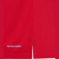 Футболка тренировочная JOGEL DIVISION PerFormDRY Training CVC R2, красный
