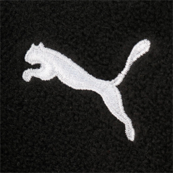 Перчатки PUMA teamLIGA 21 Winter glovesr, 04170601-S, черный