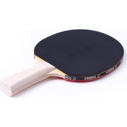 Набор для настольного тенниса TORRES Control 10 TT0010, 2 ракетки, 3 мяча, сетка, сумка-чехол