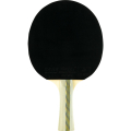 Ракетка для настольного тенниса DOUBLE FISH 4D-C в комплекте с чехлом