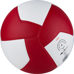 Мяч вол. GALA Relax 12, BV5465S, р. 5, синт. кожа ПУ, клееный, бут. камера, бело-сине-красный
