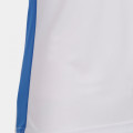 Футболка с коротким рукавом RECORD II Белый-синий