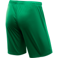 Шорты игровые JOGEL CAMP Classic Shorts, зеленый/белый