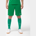 Шорты игровые JOGEL CAMP Classic Shorts, зеленый/белый