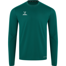 Джемпер тренировочный JOGEL DIVISION PerFormDRY Pro Training Top, темно-зеленый, детский