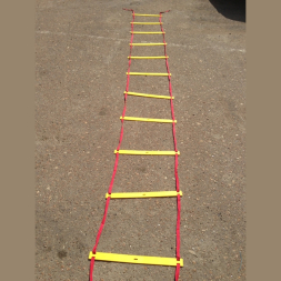 Лестница координационная (12 ступеней, 51*540см)