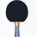 Ракетка для настольного тенниса TORRES Hobby TT0003