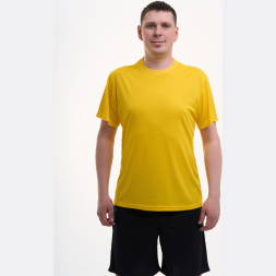 Футболка мужская ЭКИПО (Желтый)