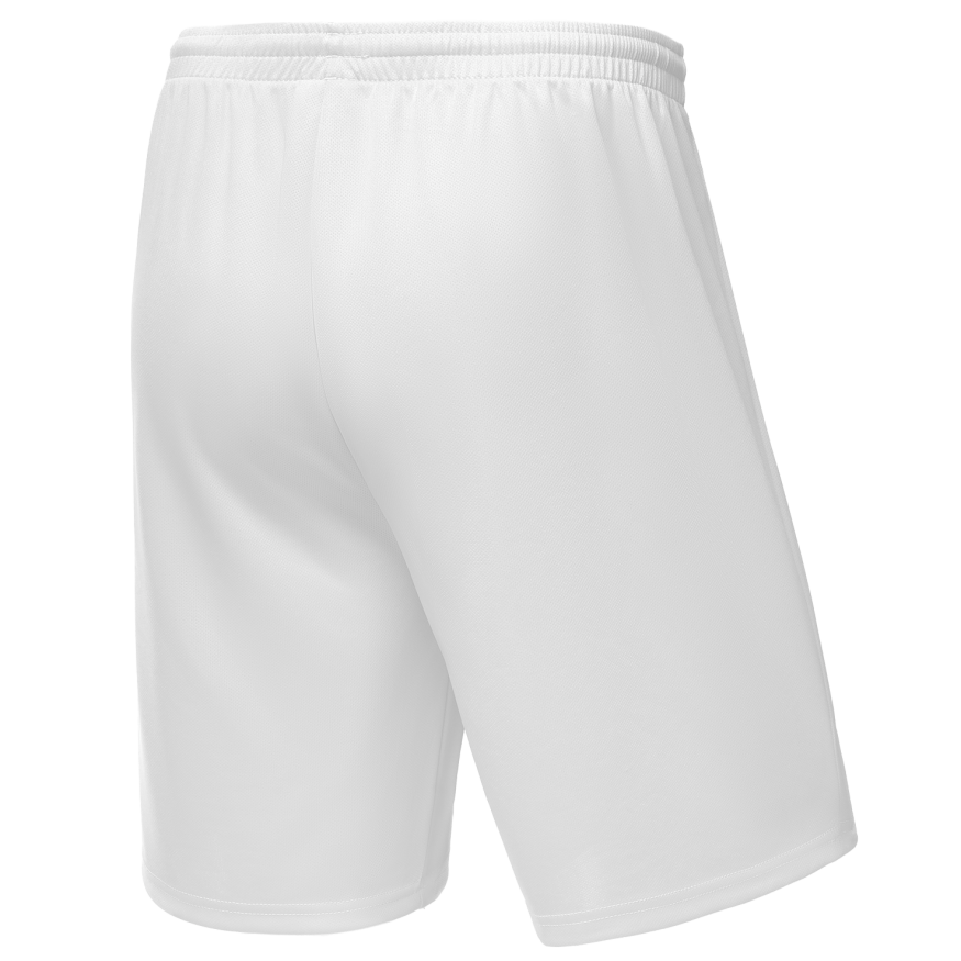 Шорты баскетбольные JOGEL CAMP Basic, белый