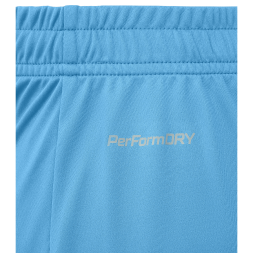 Шорты игровые JOGEL DIVISION PerFormDRY Union Shorts, голубой