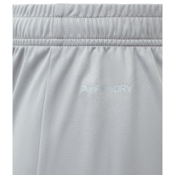 Шорты игровые JOGEL DIVISION PerFormDRY Union Shorts, серый