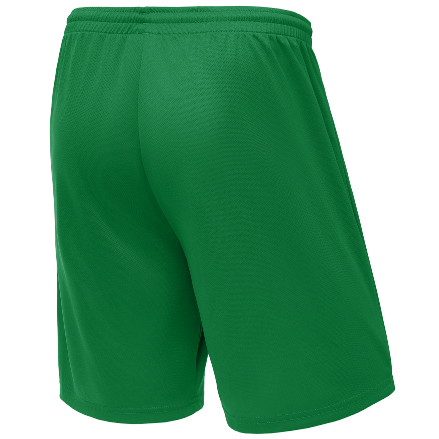 Шорты баскетбольные JOGEL CAMP Basic, зеленый