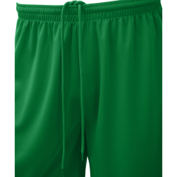 Шорты баскетбольные JOGEL CAMP Basic, зеленый