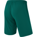 Шорты игровые JOGEL CAMP Classic Shorts, темно-зеленый