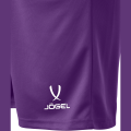 Шорты баскетбольные JOGEL CAMP Basic, фиолетовый