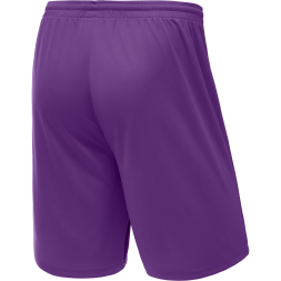 Шорты баскетбольные JOGEL CAMP Basic, фиолетовый