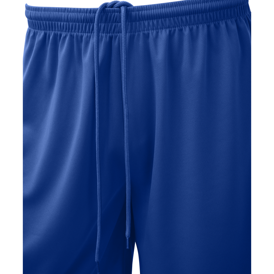 Шорты баскетбольные JOGEL CAMP Basic, синий