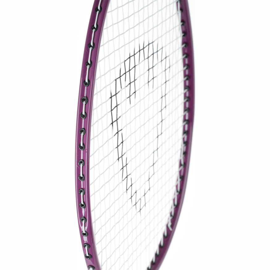 Набор для бадминтона TORRES Leisure Set BD23520, 2 ракетки