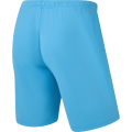 Шорты игровые JOGEL CAMP Classic Shorts, голубой, детский