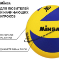 Мяч волейбольный MINSA, PU, клееный, 8 панелей, р. 5