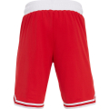 Шорты баскетбольные мужские MACRON Thorium, 92790201-RD-2XL, размер 2XL, красный