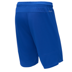 Шорты баскетбольные JOGEL PerformDry Division Star, синий