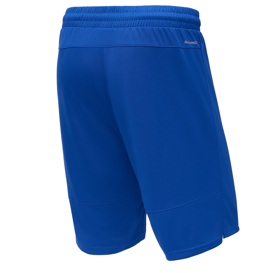 Шорты баскетбольные JOGEL PerformDry Division Star, синий