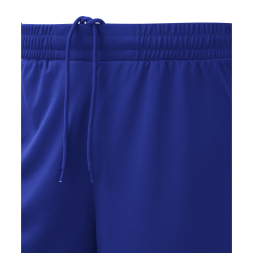 Шорты баскетбольные JOGEL PerformDry Division Star, синий