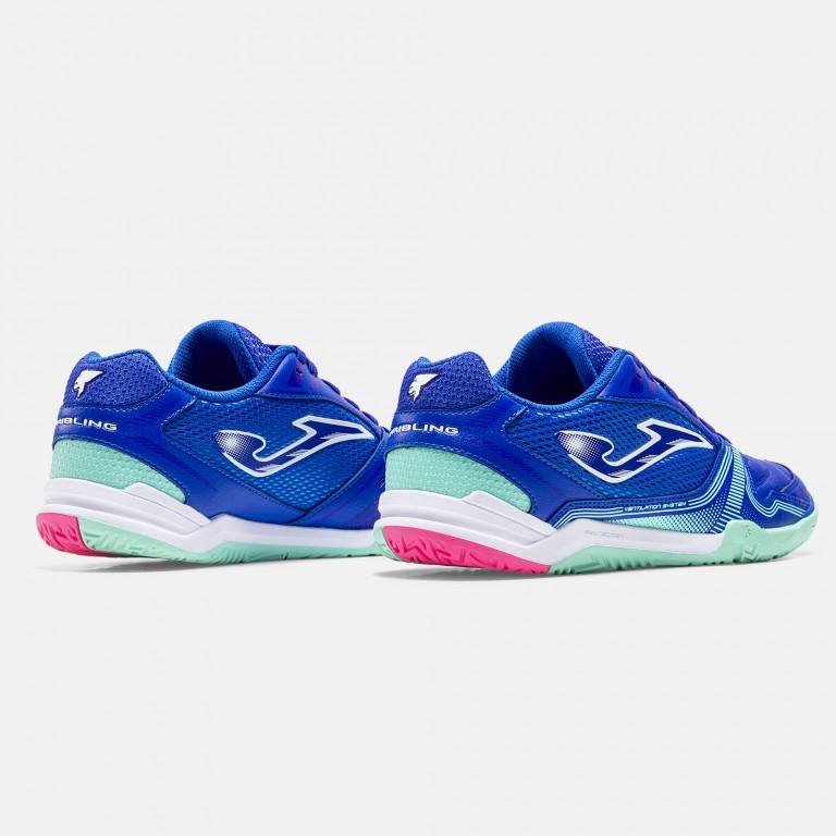 Ассортимент | DRIBLING 2604   INDOOR