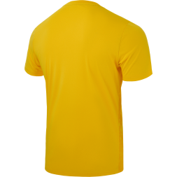 Футболка вратарская JOGEL DIVISION PerFormDRY SPLASH GK Jersey, желтый