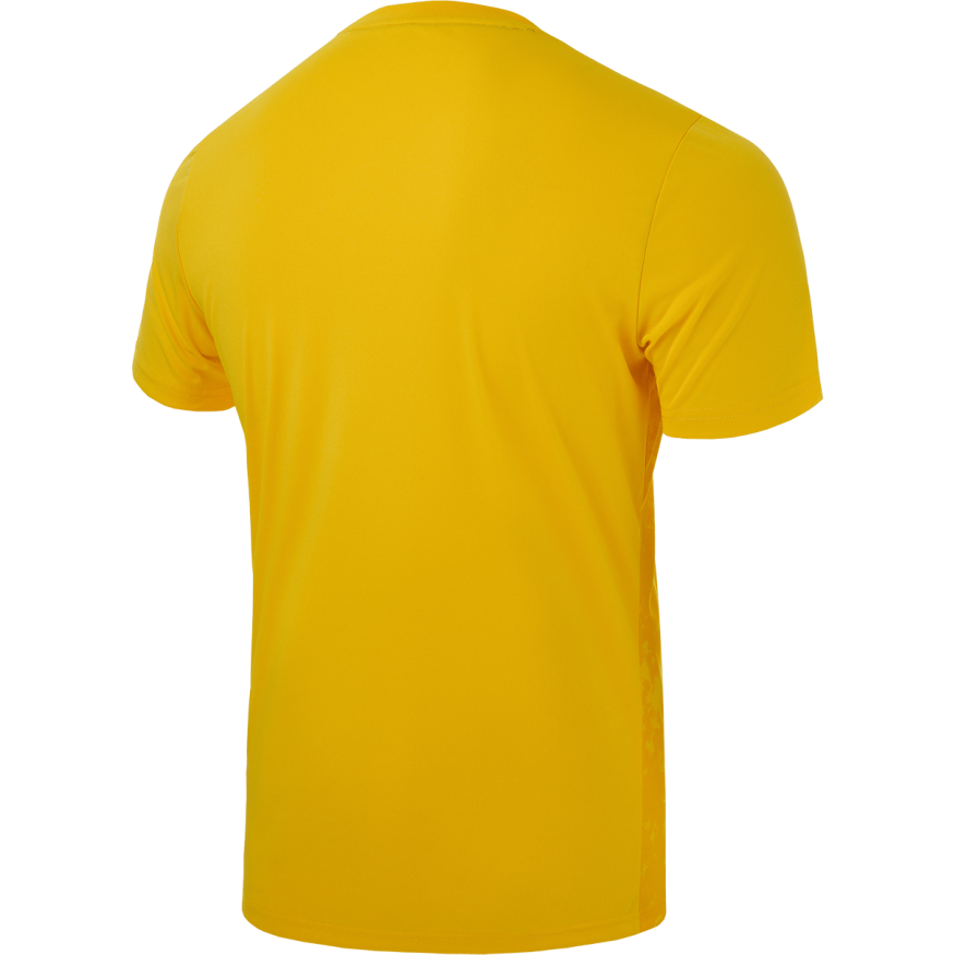 Футболка вратарская JOGEL DIVISION PerFormDRY SPLASH GK Jersey, желтый