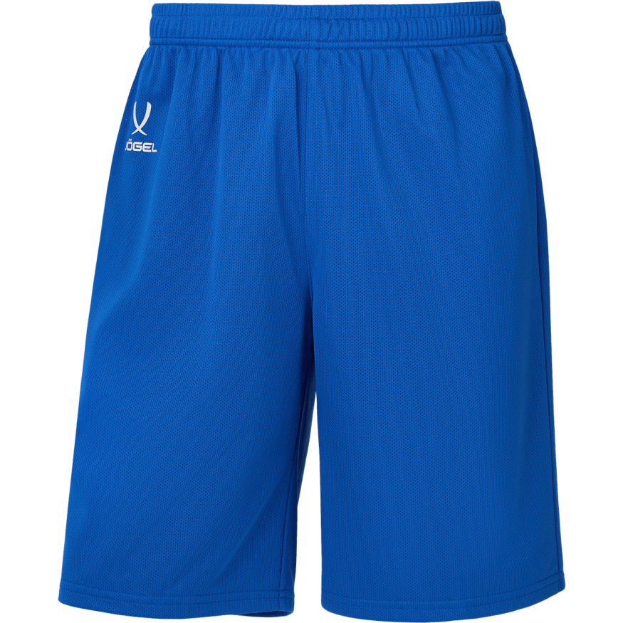Шорты баскетбольные JÖGEL DIVISION PerFormDRY RBF 2S Shorts, синий