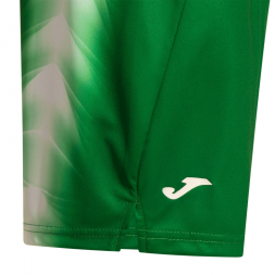 Баскетбольная форма JOMA FINAL FOUR VERDE BLANCO