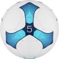 Мяч футбольный MINSA Training, PU, ручная сшивка, 32 панели, р. 5