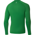 Джемпер компрессионный утепленный JOGEL CAMP PerFormDRY Baselayer Top Warm, зеленый