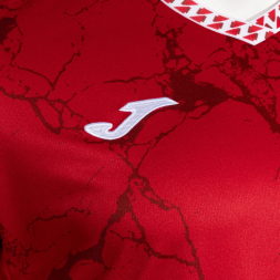 Игровая футболка JOMA GOLD VII  