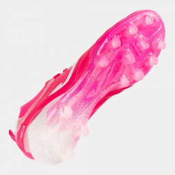 NUMERO-10 2510 ROSA FIRM GROUND