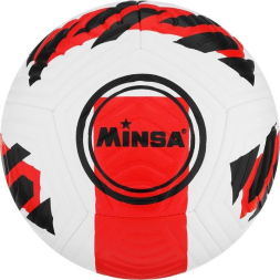 Мяч футбольный MINSA, TPE, машинная сшивка, 12 панелей, р. 5
