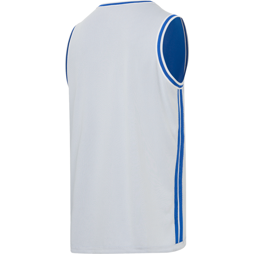 Майка двухсторонняя JOGEL DIVISION PerFormDRY Double-Side Jersey, синий/белый