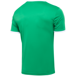 Футболка футбольная JOGEL CAMP Origin, зеленый/белый, детский