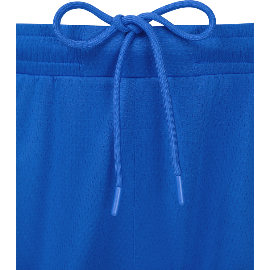 Шорты баскетбольные JOGEL DIVISION PerFormDRY Shorts Z2, синий