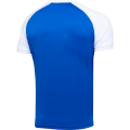 Футболка игровая JOGEL CAMP Reglan Jersey, синий/белый, детский