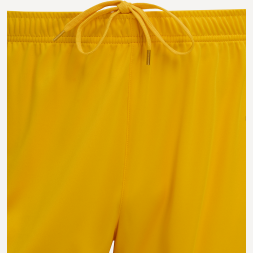 Шорты игровые JOGEL DIVISION PerFormDRY Union Shorts, желтый