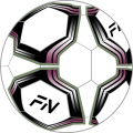 Футзальный мяч  FN Futsal Ball