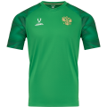 Футболка вратарская JOGEL NATIONAL PerFormDRY GK Jersey, зеленый